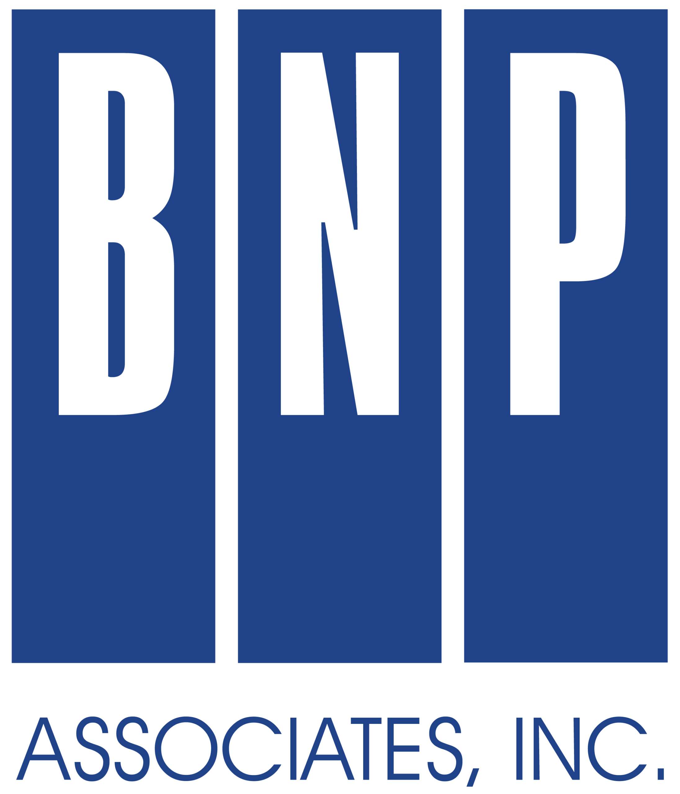 BNP Standard Logo - Dark Blue
