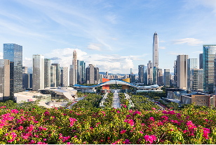 Stunning modern skyline of Shenzhen, China, with skyscrapers, bridges, and blooming flowers in the foreground.